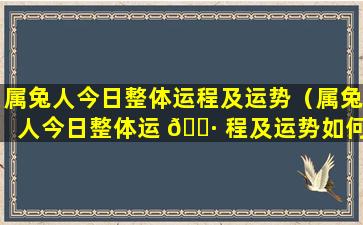 属兔人今日整体运程及运势（属兔人今日整体运 🌷 程及运势如何）